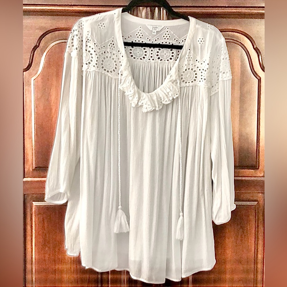 Beautiful Cotton peasant top Embroidered Women's Top